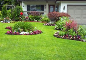 Landscaping And Maintenance Services